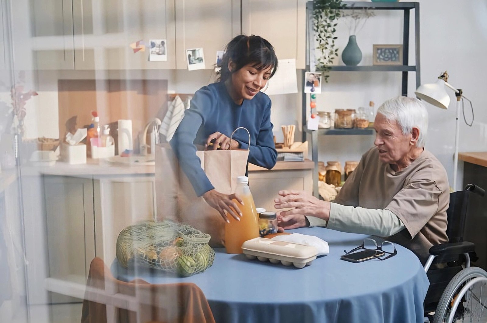 ElderCare_CareNestPro