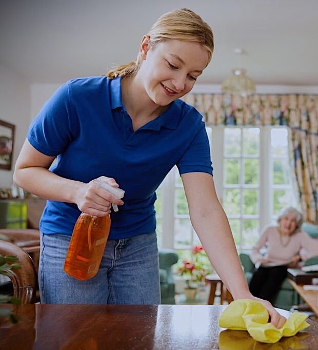 CareNestPro_Female Home Help Cleaning House And Talking To Senior Woman