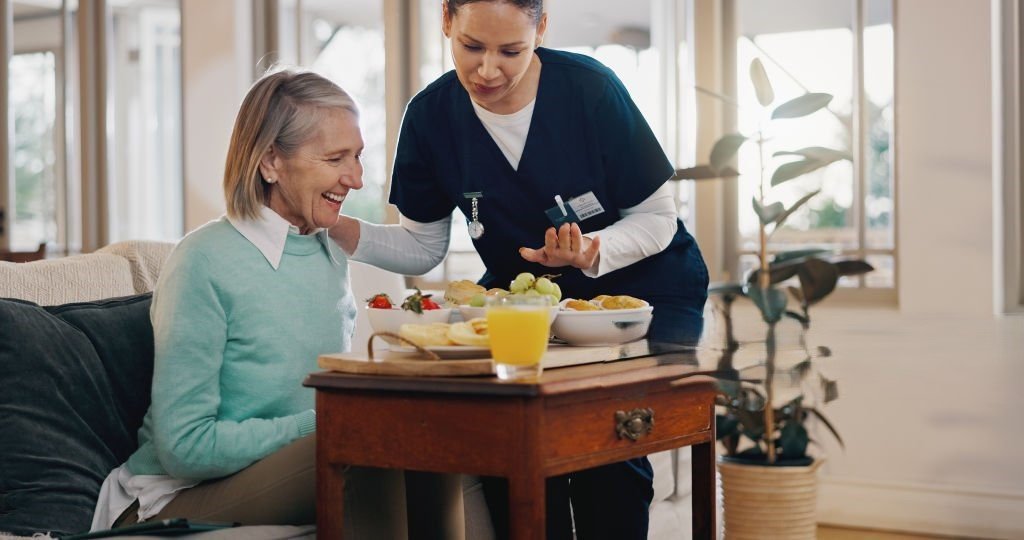 CareNestPro_Senior_CareServices